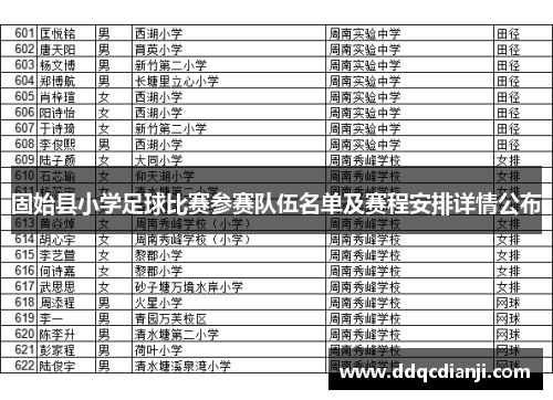 固始县小学足球比赛参赛队伍名单及赛程安排详情公布